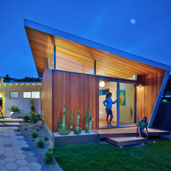 Western red cedar on the outside of a house in the backyard