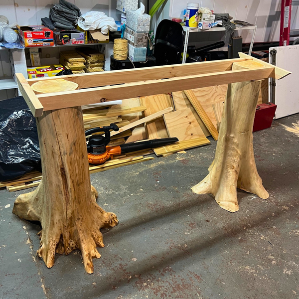 Cedar Stumps