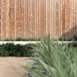 Kebony siding used on a wall with grass displayed around it. 
