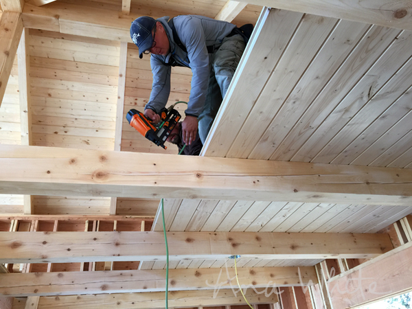Pine T&G Decking