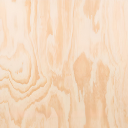 Sample of Radiata Pine