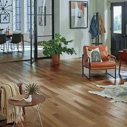 Living area with Somerset Hardwood flooring. A orange sitting chair and rug are centered in the room.