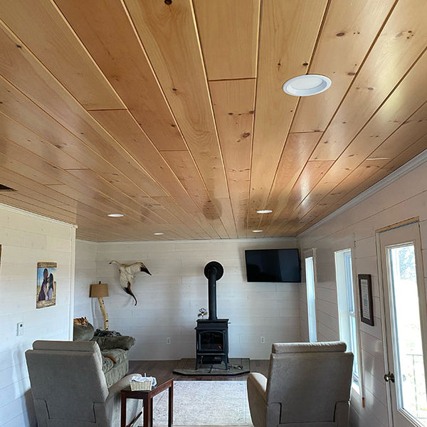 Both are displayed in a room with the almond paneling covering the ceiling, and whitewash on the sides.