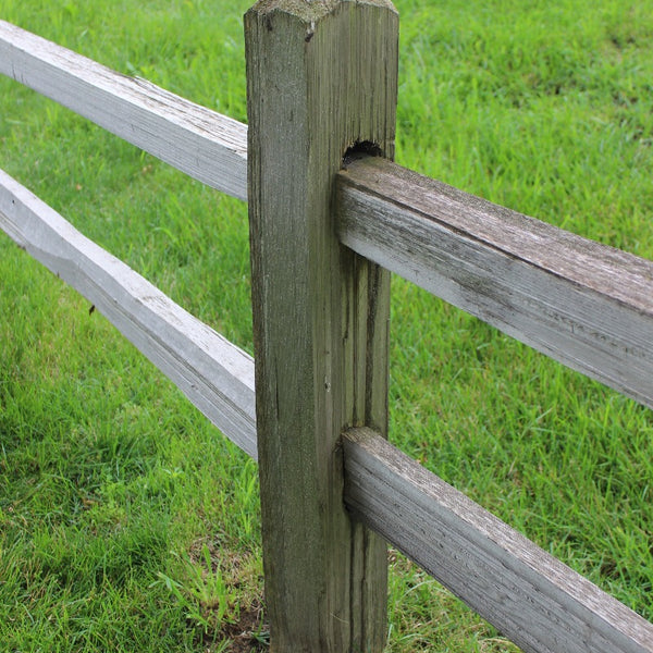 White Cedar Split rail fence