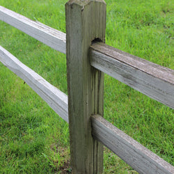 White Cedar Split rail fence