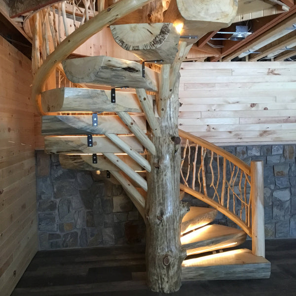 looking up log spiral staircase