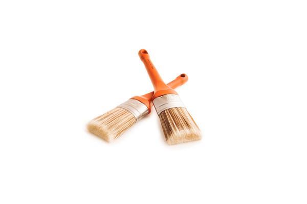 Oval Paint Brush