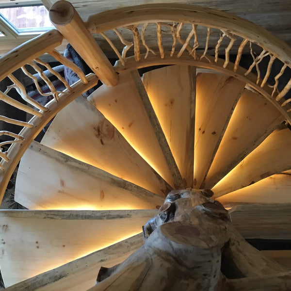 looking down log spiral staircase